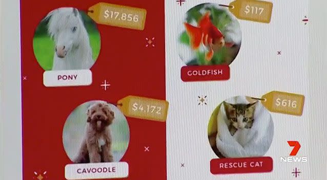 Consumers purchasing pets as Christmas gifts are unaware of the ongoing costs for owners. Source: 7 News