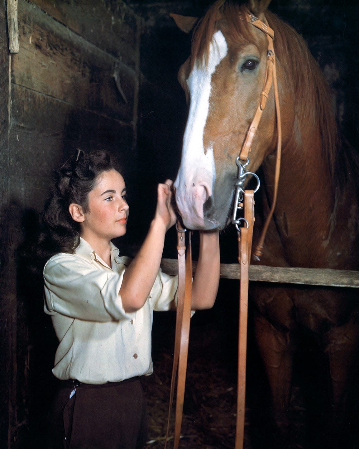 national velvet