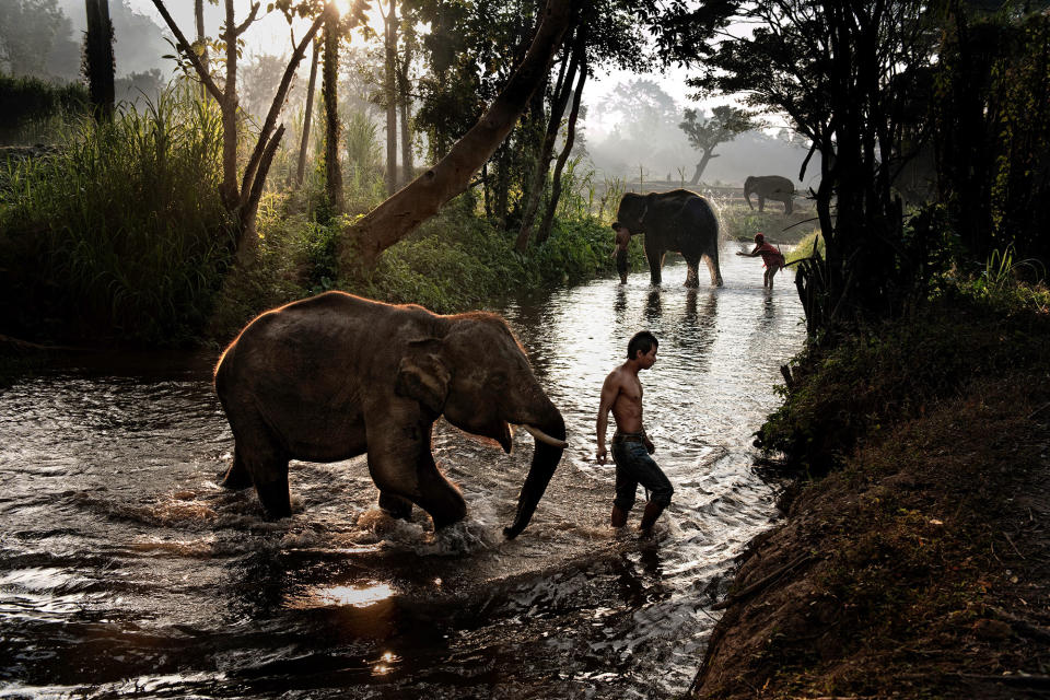 Boy and elephant crossing a stream in Chiang Mai,Thailand, 2010