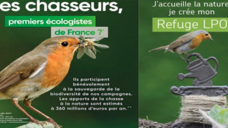 Les chasseurs condamnés pour avoir plagié une campagne de défenseurs des oiseaux