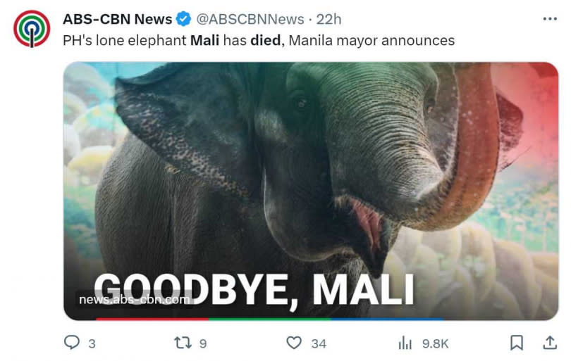 全球最孤獨大象馬麗去世，菲律賓網友悼念。（圖／翻攝自推特）
