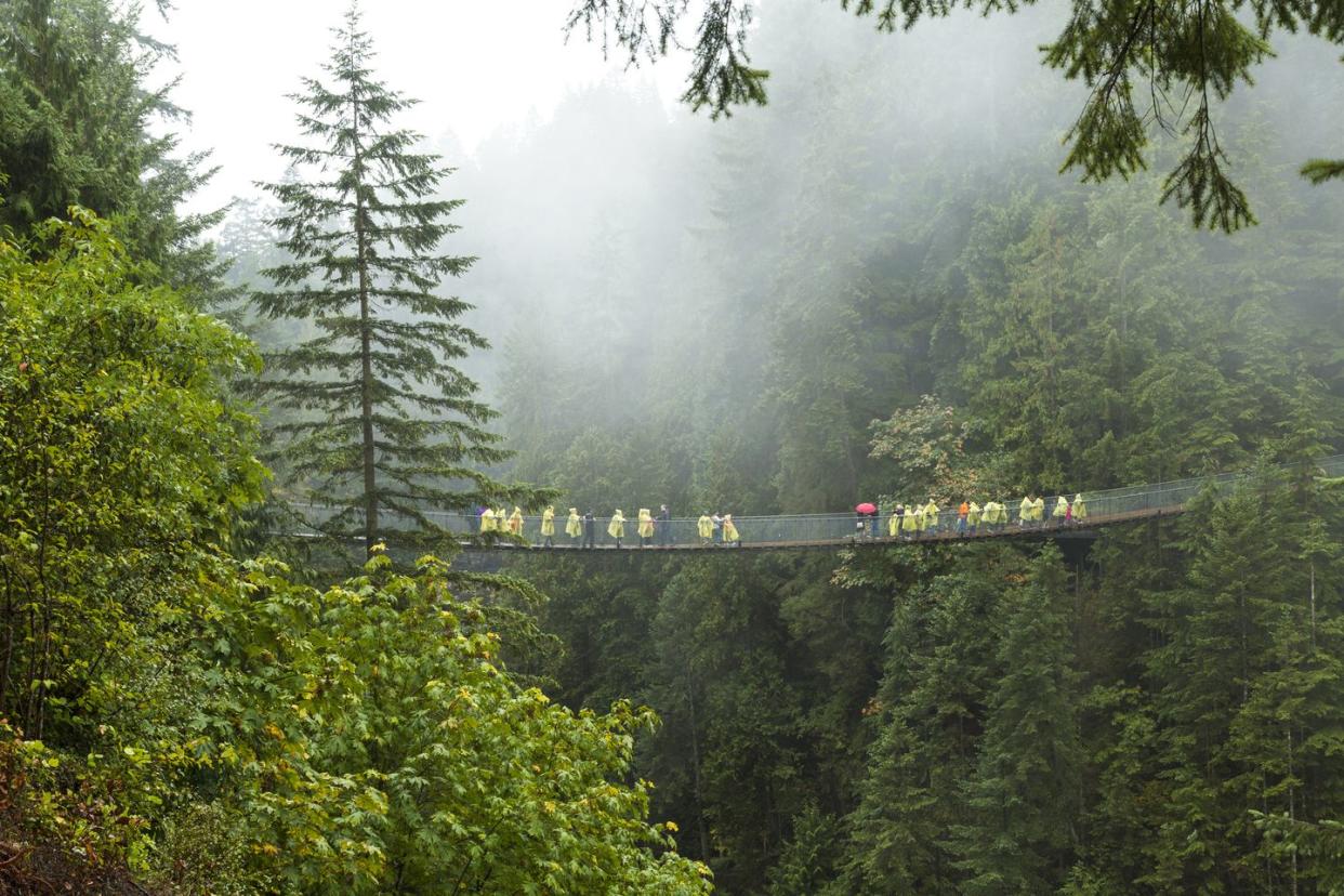 tourists on capilano suspension bridge and park