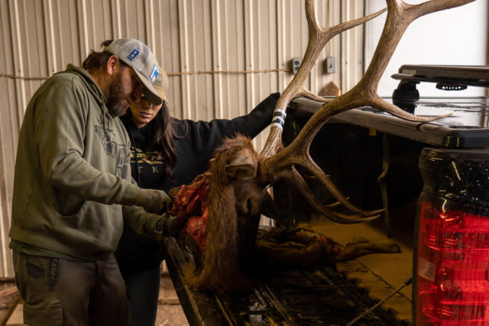 Taking CWD Samples