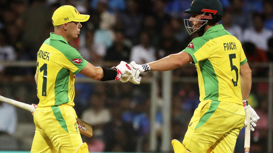 David Warner and Aaron Finch, pictured here celebrating their partnership.