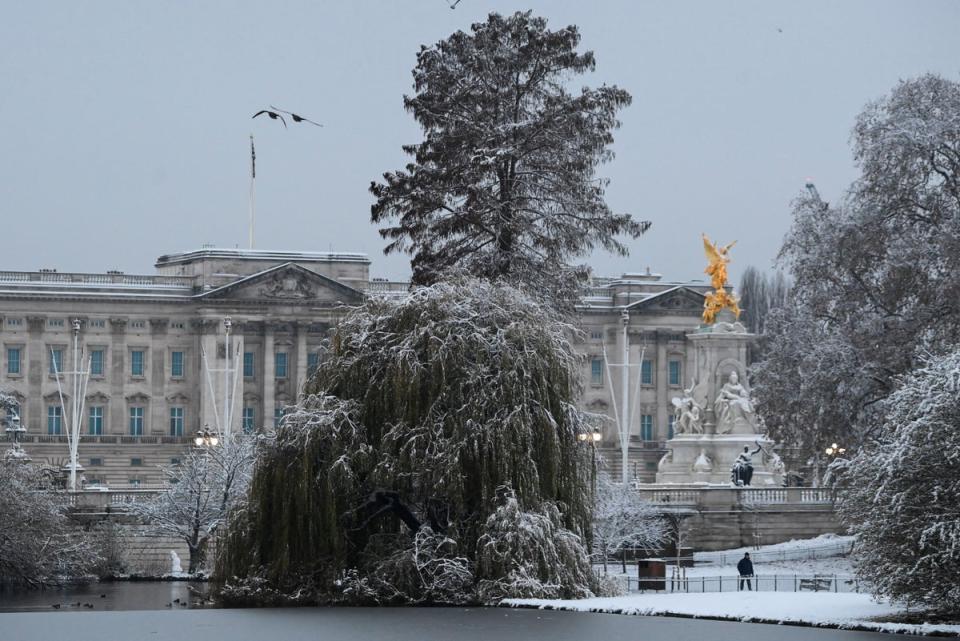 Trees are covered in snow in front of Buckingham Palace as cold weather continues, in London (REUTERS)