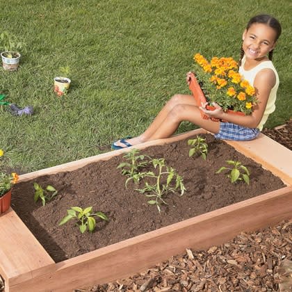 Garden Bed