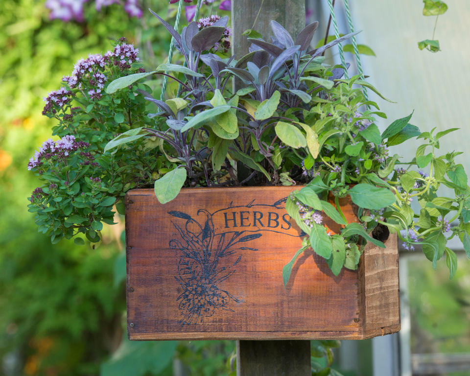 13. MAKE A HANGING PLANTER