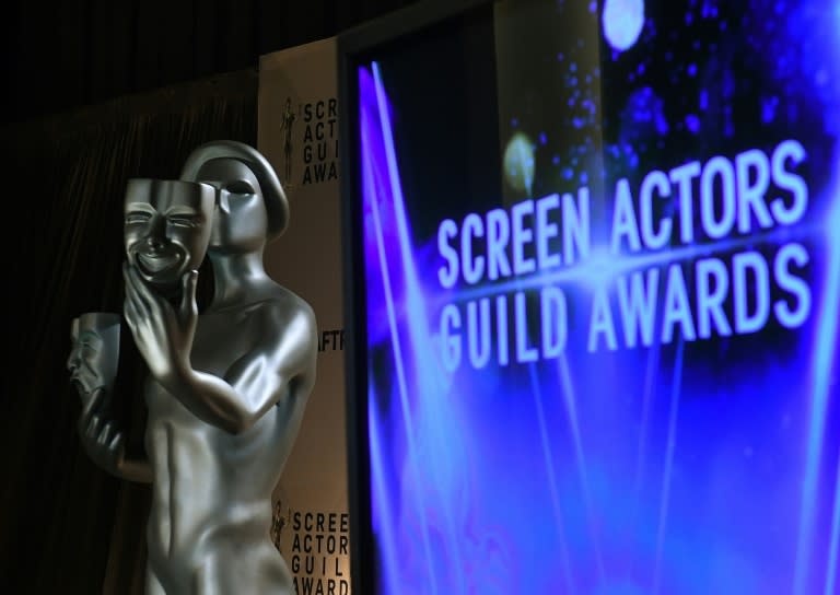 The Screen Actors Guild, though less high-profile than the Golden Globes, are seen as more of an indicator of Oscars glory, since members represent some 1,200 of the roughly 6,000 voters for the Academy of Motion Picture Arts and Sciences