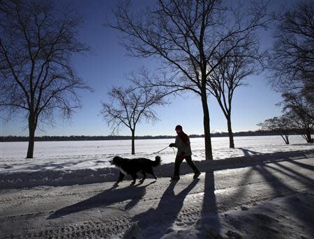 A woman walks her dog around a Minneapolis lake in sub-zero temperatures Minneapolis, January 8, 2014. REUTERS/Eric Miller