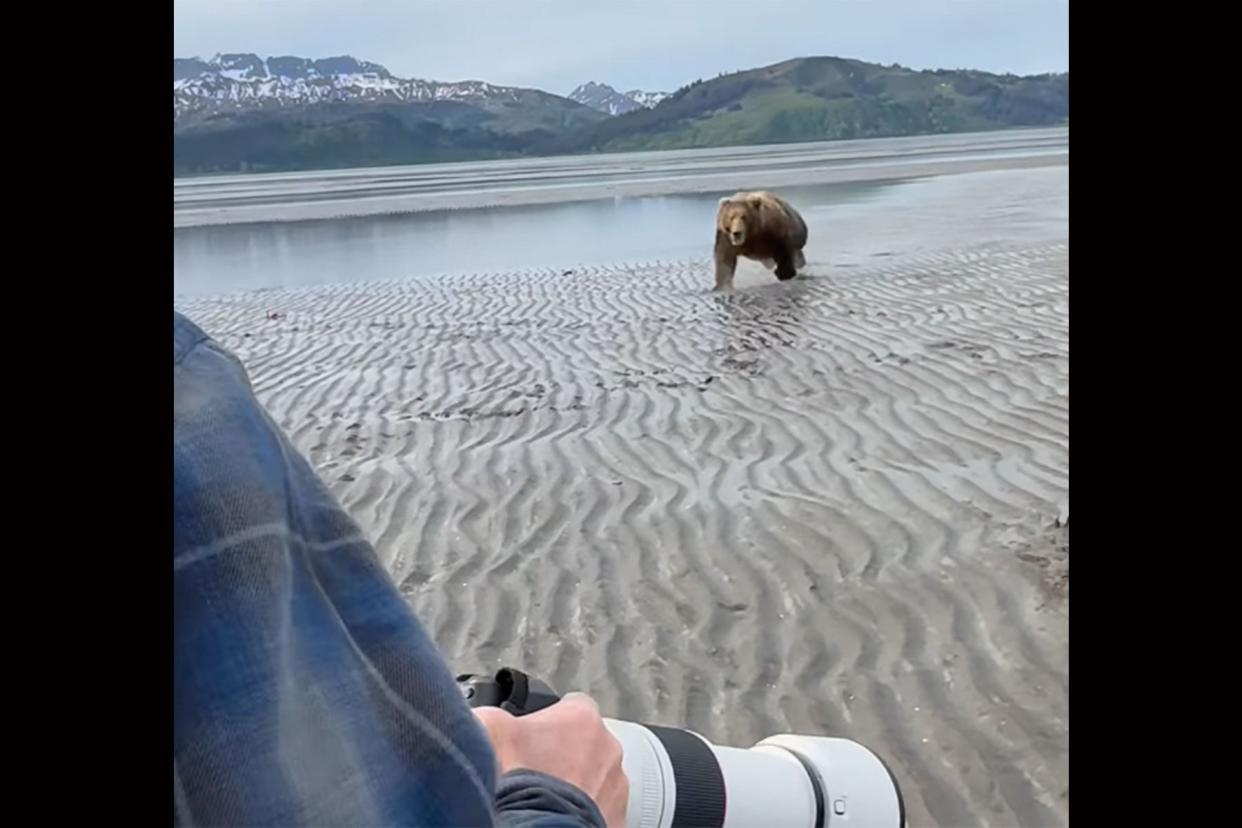 Watch a Massive Brown Bear Charge a Group of Tourists in Alaska photo