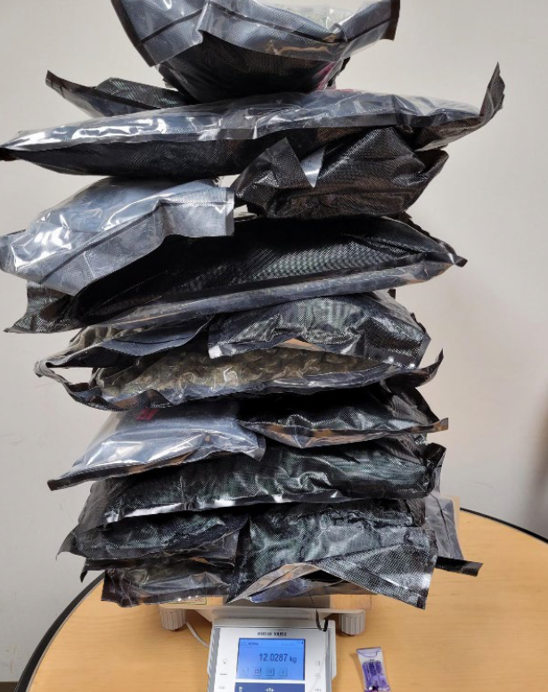 Bags of drugs that Edwin Spears and Leonardo Petrosillo were allegedly trying to smuggle into England.