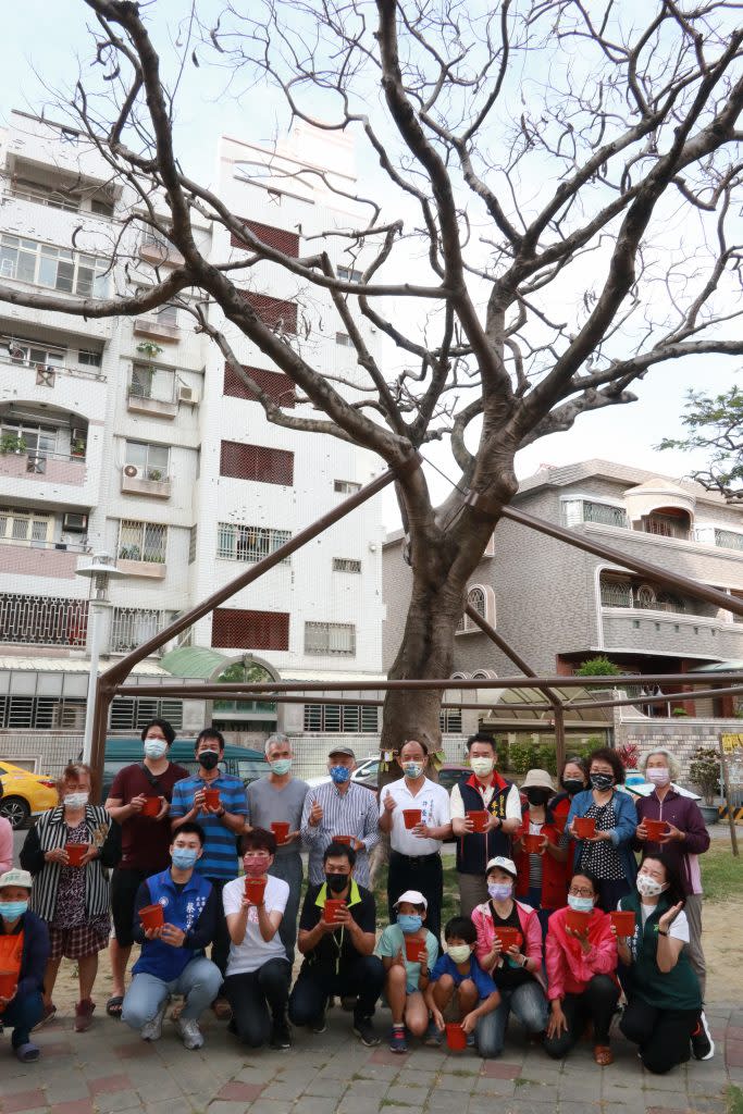 民眾參加北成公園凋零鳳凰樹的生前告別式，並用其種子培育第二代，象徵鳳凰浴火重生。（記者陳俊文攝）