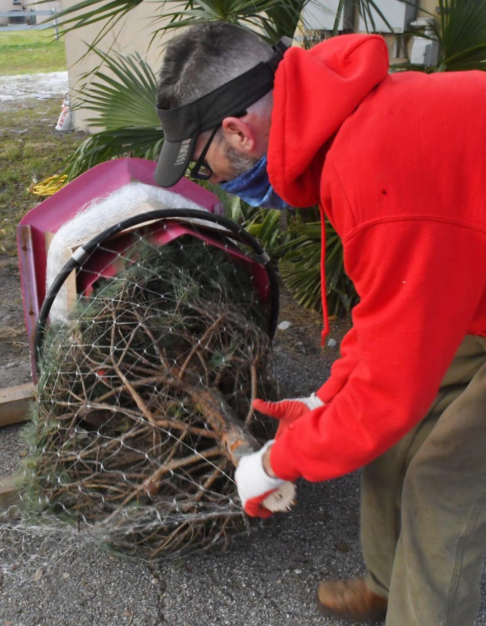 Matt Grutzik wraps a Christmas tree for a customer on Merritt Island, Fla. Dustin Grutzik, owner of Wisconsin Christmas Trees, says he has sold more than 1,200 trees since after Thanksgiving, and that he sold out his stock on Friday.