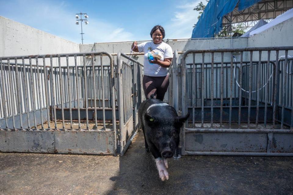 Vanessa Inneh, a senior at Pleasant Grove High School, takes her pig back to her pen during the opening day of the Sacramento County Fair at Cal Expo on Thursday.