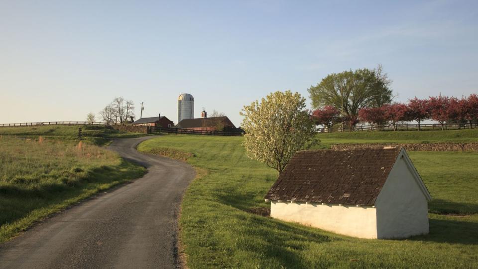 farm and countryside, goodstone inn, middleburg, virginia
