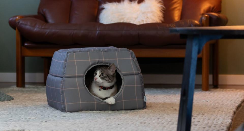 Lexi & Me Cat Cave