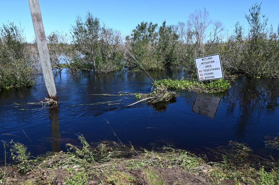 Flooding on Wauchula Road after Hurricane Ian passed in a wetlands mitigation area.