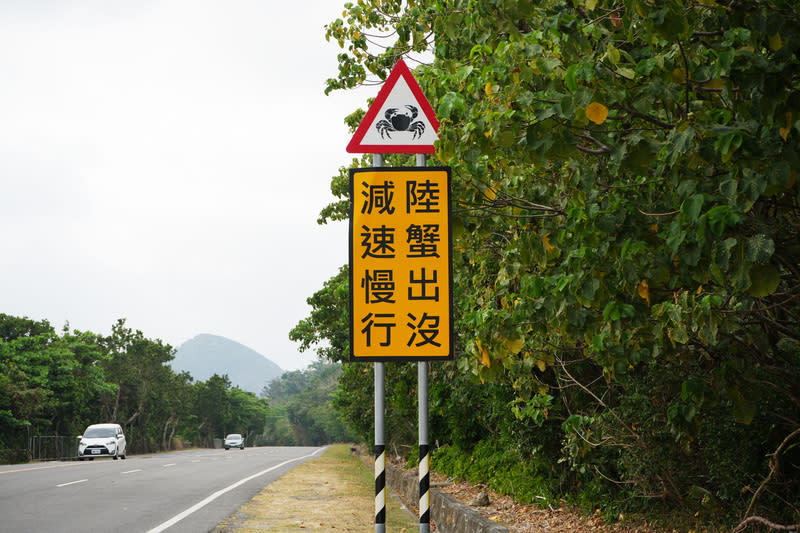 守護陸蟹  墾管處設告示牌提醒用路人減速慢行 屏東墾丁陸蟹繁殖高峰期為每年農曆6月至8月，因車 輛往來頻繁，使得抱卵母蟹常常在橫跨馬路往海岸奔 走中慘遭輾壓。圖為墾丁國家公園管理處在路旁設立 告示牌，提醒用路人減速慢行。 中央社記者黃郁菁攝  113年4月16日 