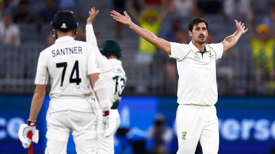 Mitchell Starc appeals for the wicket of BJ Watling of New Zealand during day four of the First Test match in the series between Australia and New Zealand. (Photo by Ryan Pierse/Getty Images)