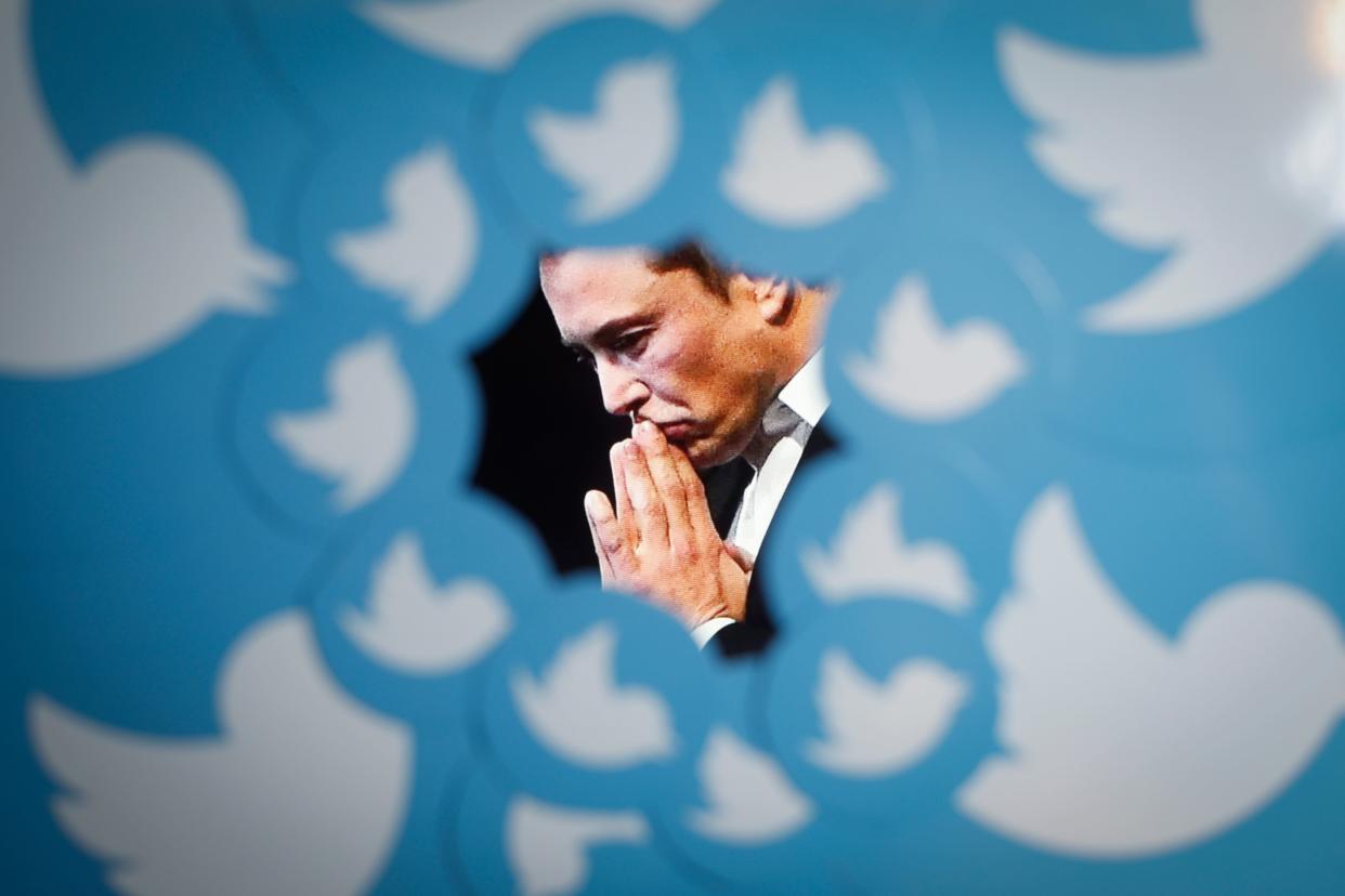 An image of new Twitter owner Elon Musk is seen surrounded by Twitter logos in this photo illustration.