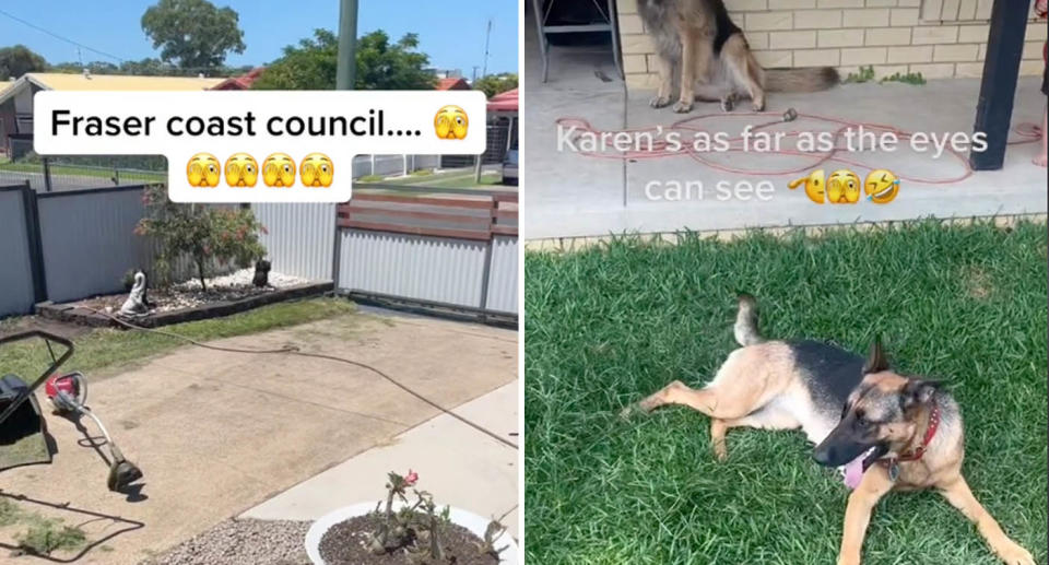 A photo of the man's front yard in Queensland. A photo of his german shepherds in the yard.