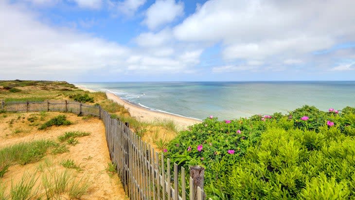 cape cod