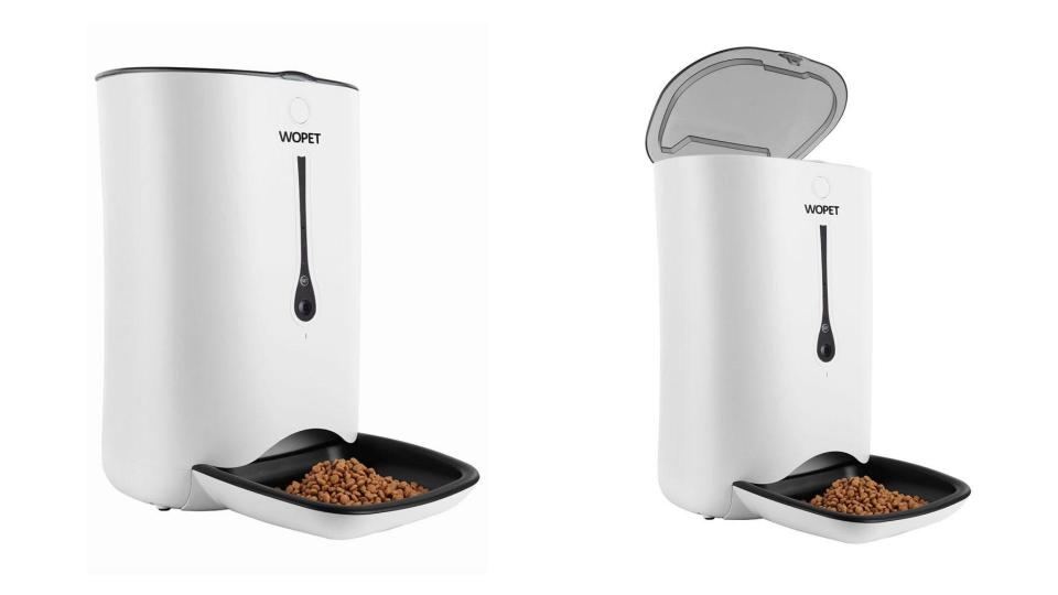 The WoPet SmartFeeder is the best automatic feeder we have tested