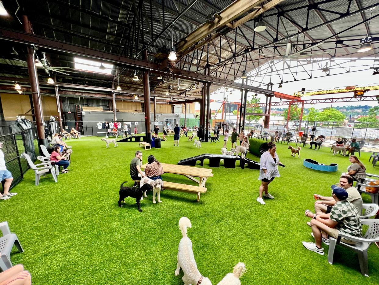 Good Dog Bar and Dog Park will open its first Tuscaloosa location later this month at 1706 16th St. The 15,000-square-foot venue will feature turfed indoor and outdoor play areas for dogs, a pet resort and a bar for people.  [Photo by Clint Carmichael]