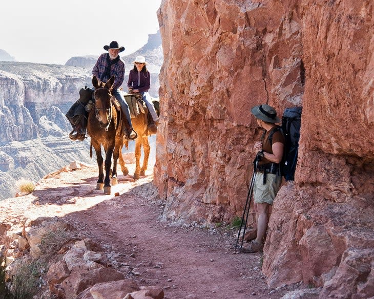 Meeting mules on the Bright Angel Trail in the Grand Canyon