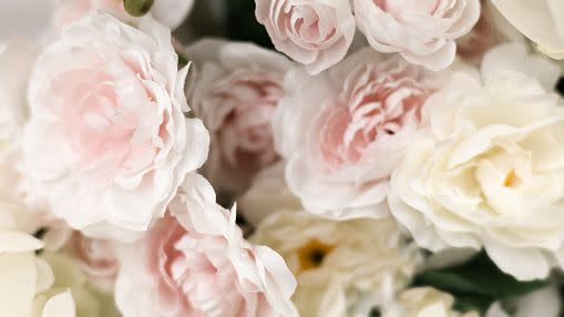 beautiful flowers at the florist shop