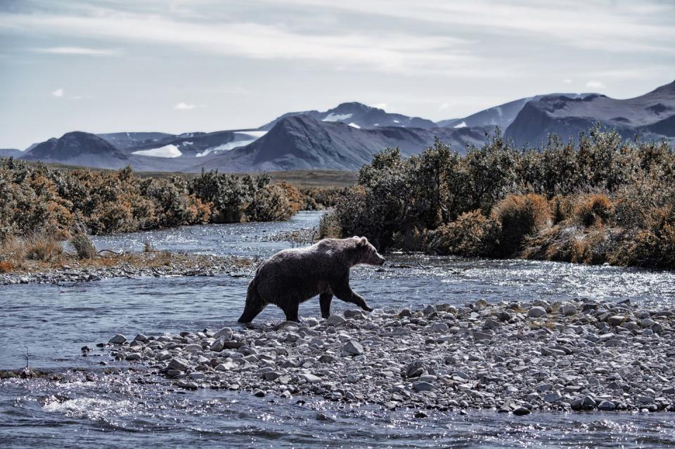 These Photos of U.S. National Parks Will Leave You Longing For a Weekend Away