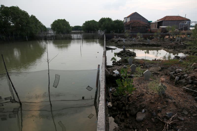 A cemetery complex affected by land subsidence and rising sea level is pictured at Bedono village in Demak regency near Semarang