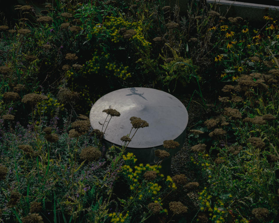 A part of the sponge tree system in the "Am Seebogen" neighborhood.<span class="copyright">Ingmar Björn Nolting for TIME</span>