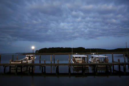 FILE PHOTO -- Crab boats are moored at the dock at dawn on Hooper's Island, Maryland August 26, 2015. REUTERS/Jonathan Ernst