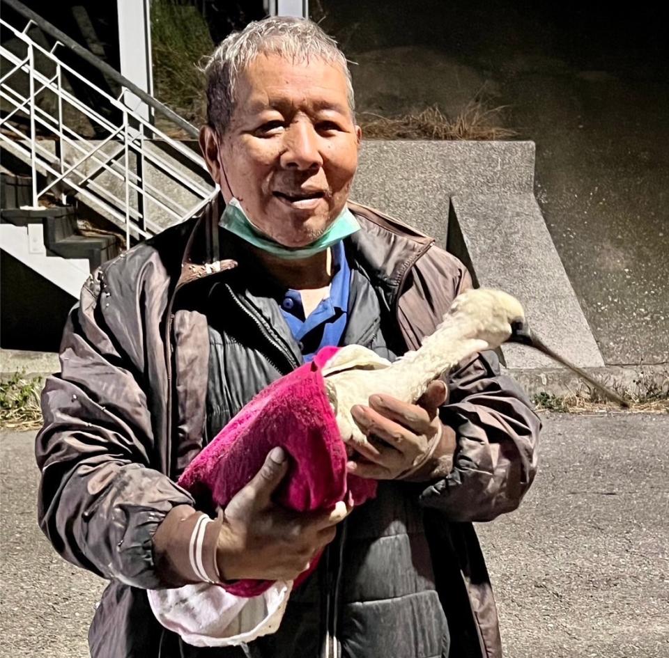 台南市生態保育學會副總幹事黃永豐摸黑順利救到受傷黑面琵鷺，相當興奮。（圖：鳥友張順雄提供）