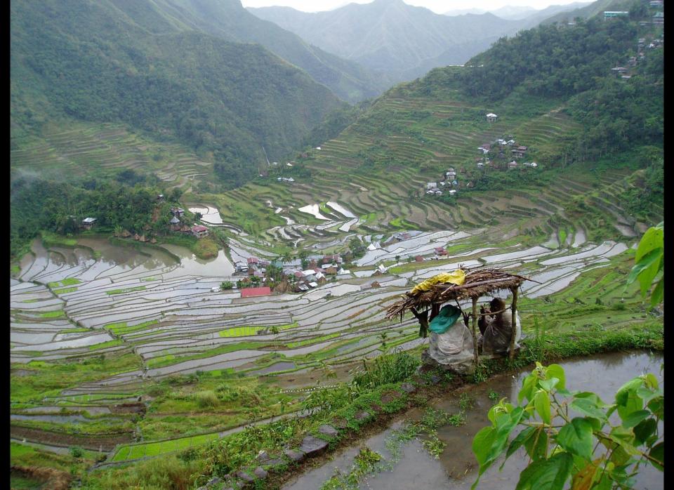 A trek through the Philippine "boondocks," a mountainous, rice-terraced cloud forest called the Cordillera can be considered an affront to the State Department's travel warning. The country is reputed to be a hotbed for kidnappings. However, get off the beaten track, and you'll also find charming villages unscathed by roads, electricity, or other people's gods. Basketball courts with cement backboards and wilting rims due to monkey business are the norm in this quarter. Here, the greatest crime spree you may encounter is that of elementary school kids stealing — chickens mostly — to finance their insidious DVD addictions. In the end, these are the most notorious rapscallions in a rugged terrain thought to be worthy of a State Department warning.      P.S. Boondocks, or boonies, are terms derived from a native Filipino word meaning "out in the woods." The Tagalog word for mountain is bundok; U.S. Marines imported the slang after WWII. 