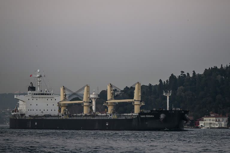 Kavo Perdika, a cargo vessel carrying Ukrainian grain, sails on Bosphorus to mMarmara sea, in Istanbul, on November 2, 2022. - President Recep Tayyip Erdogan said the traffic of vessels carrying Ukrainian grain and other agricultural products resumed on November 2, 2022 after a phone call between the Turkish and Russian defence ministers.Russian Defence Minister Sergei Shoigu called Turkish counterpart Hulusi Akar to inform that "the grain shipments will continue from 12.00 today as planned before," Erdogan said in parliament. (Photo by Ozan KOSE / AFP)