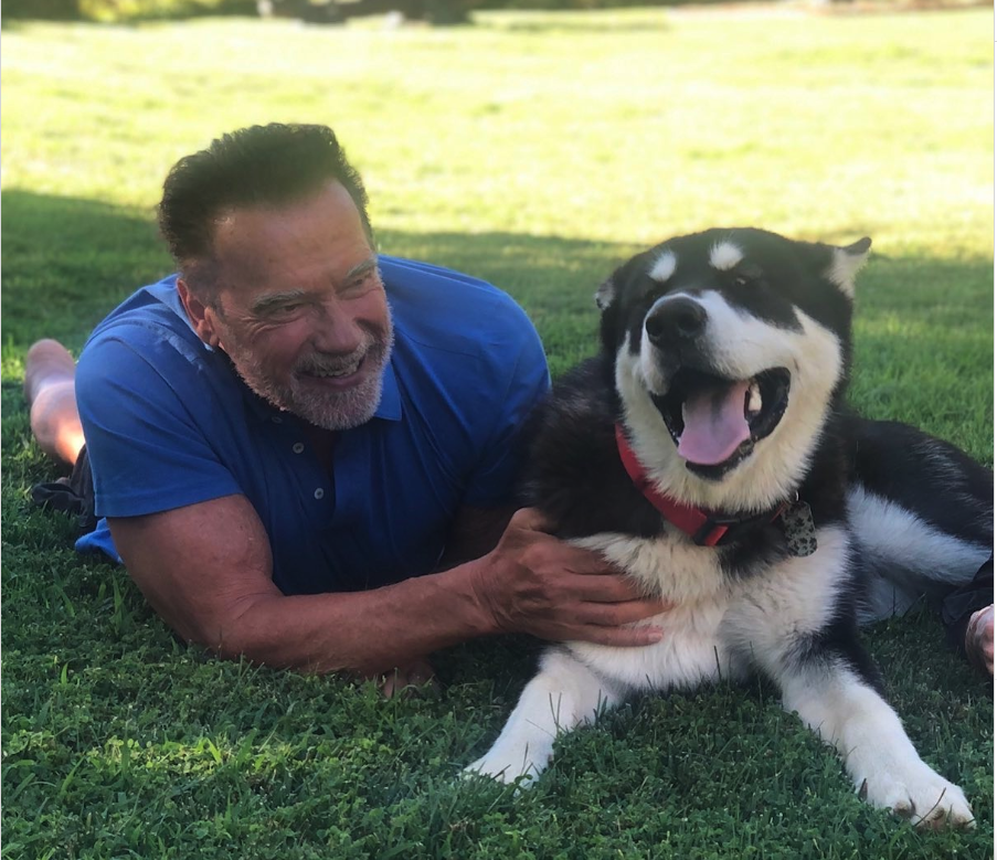 <span><span>Schwarzenegger and Dutch</span><span>Instagram</span></span>