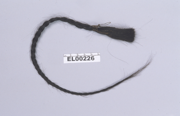 Hair from Lakota Sioux leader Sitting Bull's scalp lock, from which DNA was extracted for analysis. / Credit: Eske Willerslev