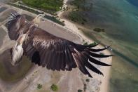 Apropos Vogel: Diesem gefiederten Freund würde ein Mensch wohl kaum so nahe kommen wie die Drohne, die dieses Bild geschossen hat. Aufgenommen wurde es im Bali Barat-Nationalpark in Indonesien.