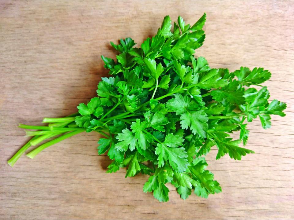 parsley herbs