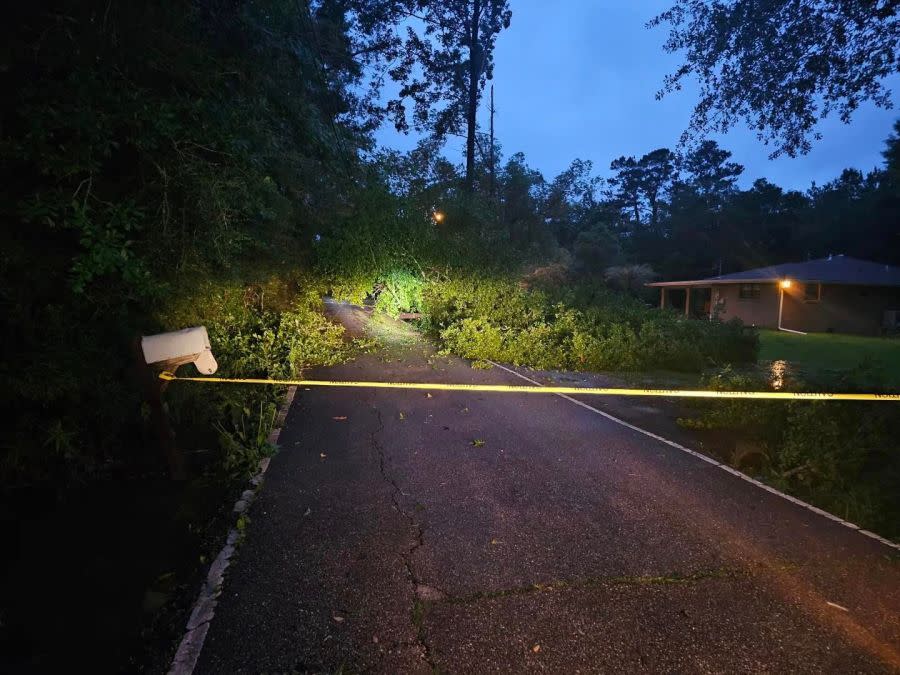 A downed tree in St. Tammany Parish following severe weather on Thursday, May 16, 2024. (Courtesy: St. Tammany Parish)