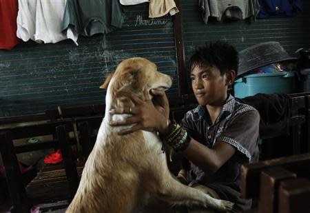A boy checks a dog for injuries at a homeless shelter for survivors after the Super typhoon Haiyan battered Tacloban city in central Philippines November 14, 2013. REUTERS/Edgar Su