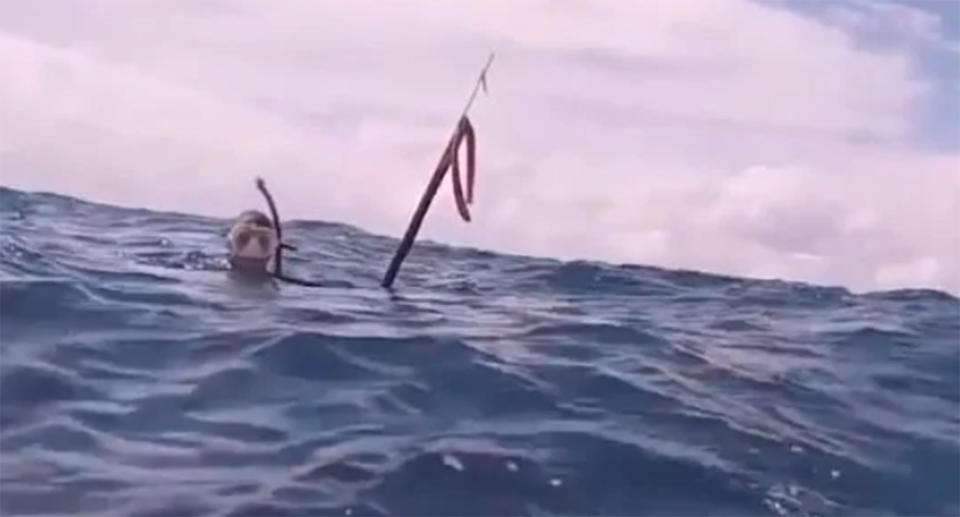 Dramatic footage shows the moment two divers feared they would be attacked by circling sharks while stranded off the NSW Far North Coast. Source: Westpac Life Saver Rescue Helicopter