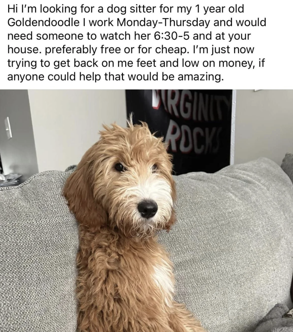 Person seeking a sitter for a 1-year-old goldendoodle, Monday–Thursday from 6:30 to 5, at the sitter's house, preferably for free or cheap