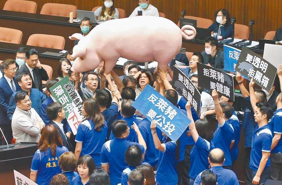 圖為9月國民黨立委拿著大型豬道具要送給行政院長蘇貞昌，表達反對美豬牛進口的立場。（本報資料照）