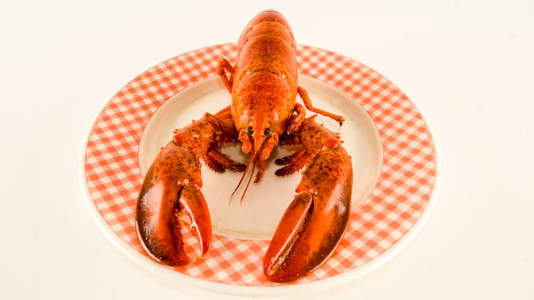 Red lobster on a plate