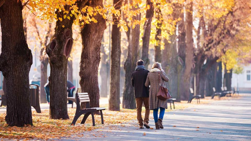 couple walking through a park together