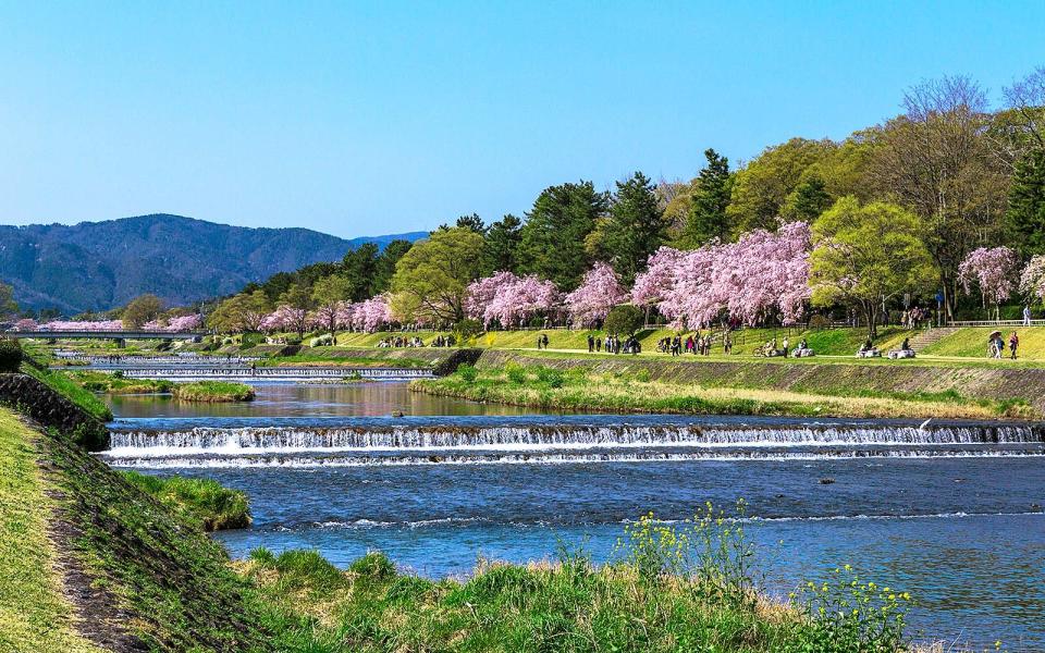 Lesser-known places in Japan to see cherry blossoms