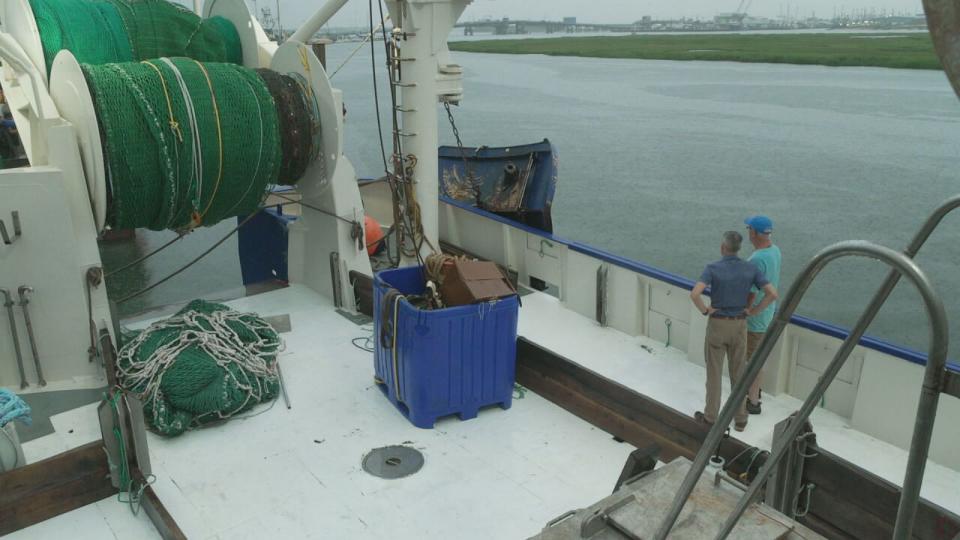 PHOTO: Shrinking stocks of fish, likely caused by climate change, have meant dramatically lower government caps on the annual herring catch in the North Atlantic. (ABC News)